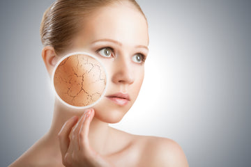 Replenish and Rejuvenate: Essential Steps for Dry Skin Treatment